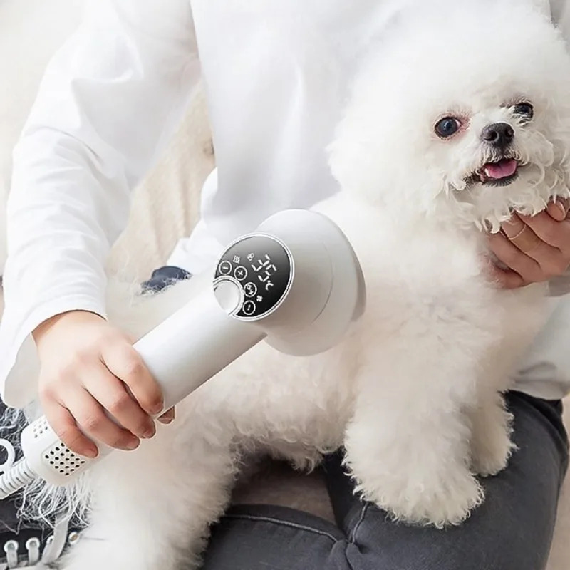 Pet Supplies And More - Professional Pet Hair Dryer Dog Cat