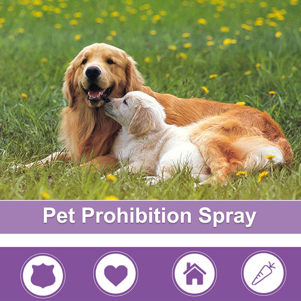 Pet Calming Spray Pet Supplies - огляд і ціна Pet Supplies Nz
