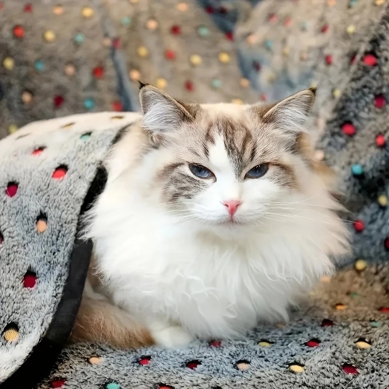 3PCS Soft Fluffy Pet Blanket C - огляд і ціна Pet Supplies Nz
